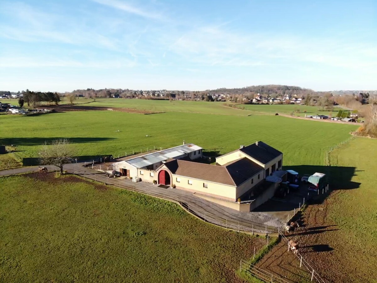 Paardeneigendom met villa, luxe en comfort in Harzé/Aywaille op ca.8,5ha 