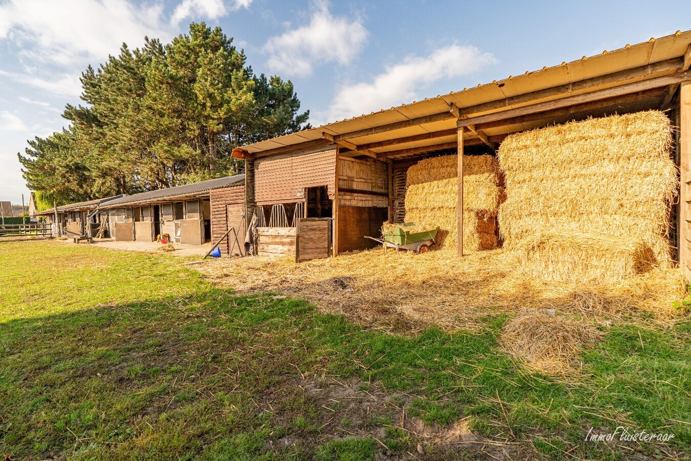 Charmante woning met stallen, buitenpiste en weide  op ca. 2 ha te OUDENBURG 