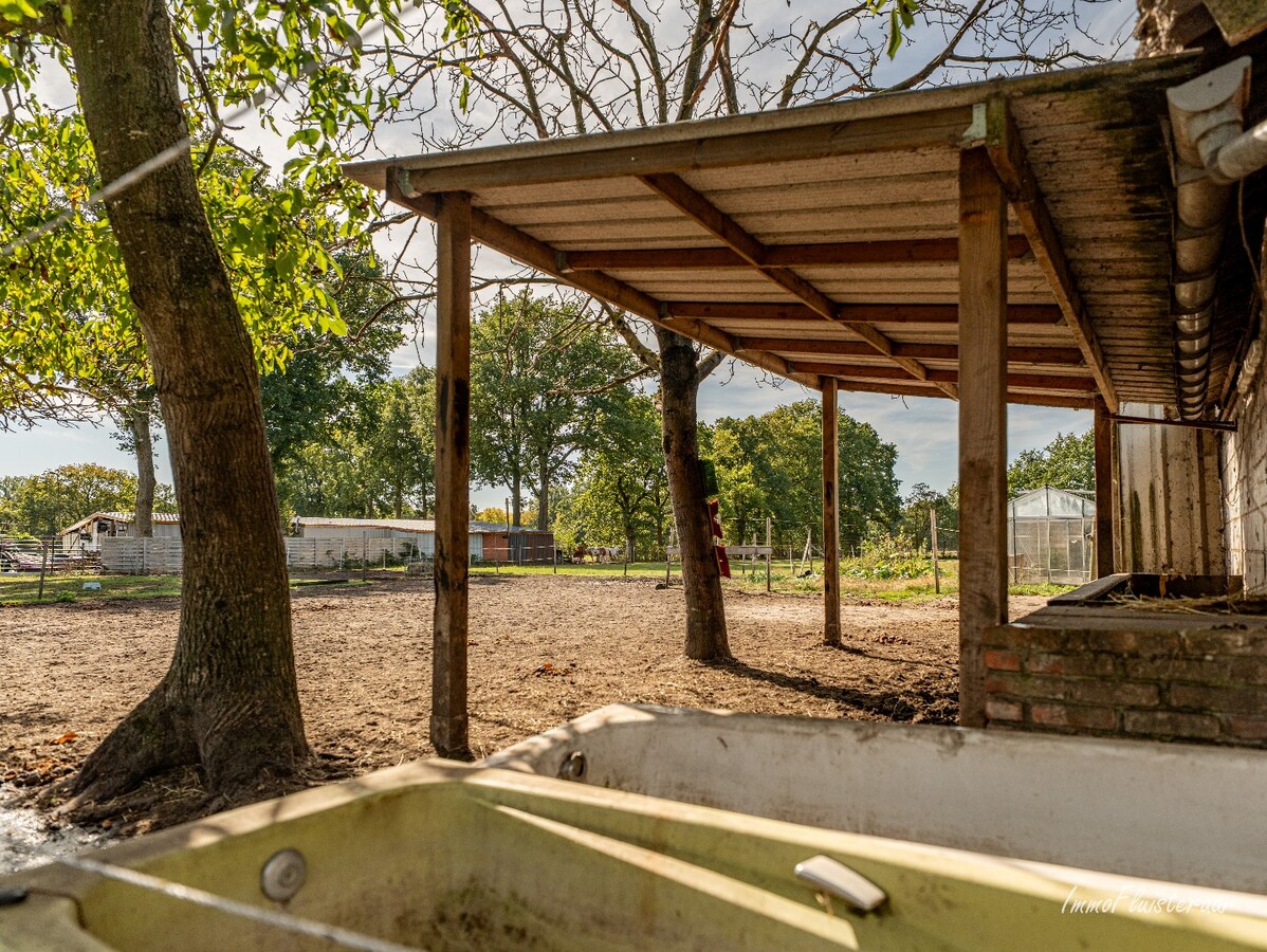 Gerenoveerde woning met praktijkruimte en paardenstal op 9.019 m2 te Balen 