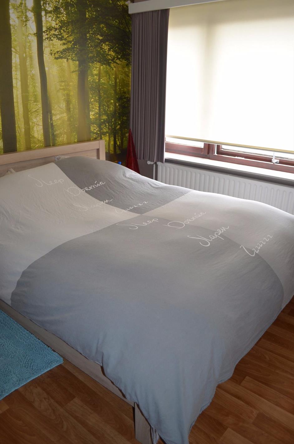 Gezinswoning 3 slpks, ruime garage, werkplaats en tuin te Maldegem 