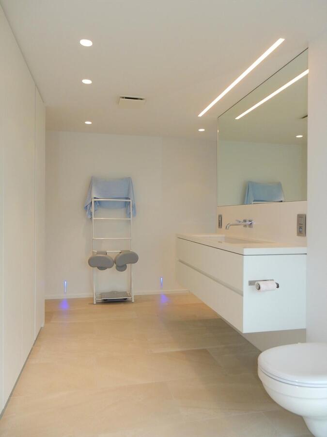 Bedrijfsgebouw met prachtige  woonst 