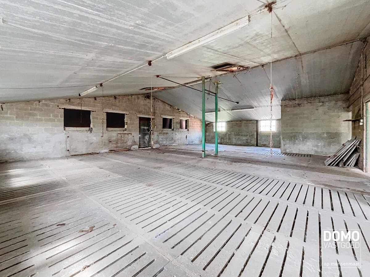 UNIEKE BOERDERIJ TE HERK-DE-STAD OP 2HA 60A 86CA TE KOOP 