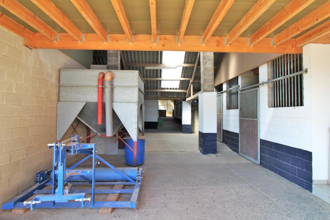 Maison avec centre équestre et appartement supplémentaire sur environ 1.3ha à Hannut (Liège) 