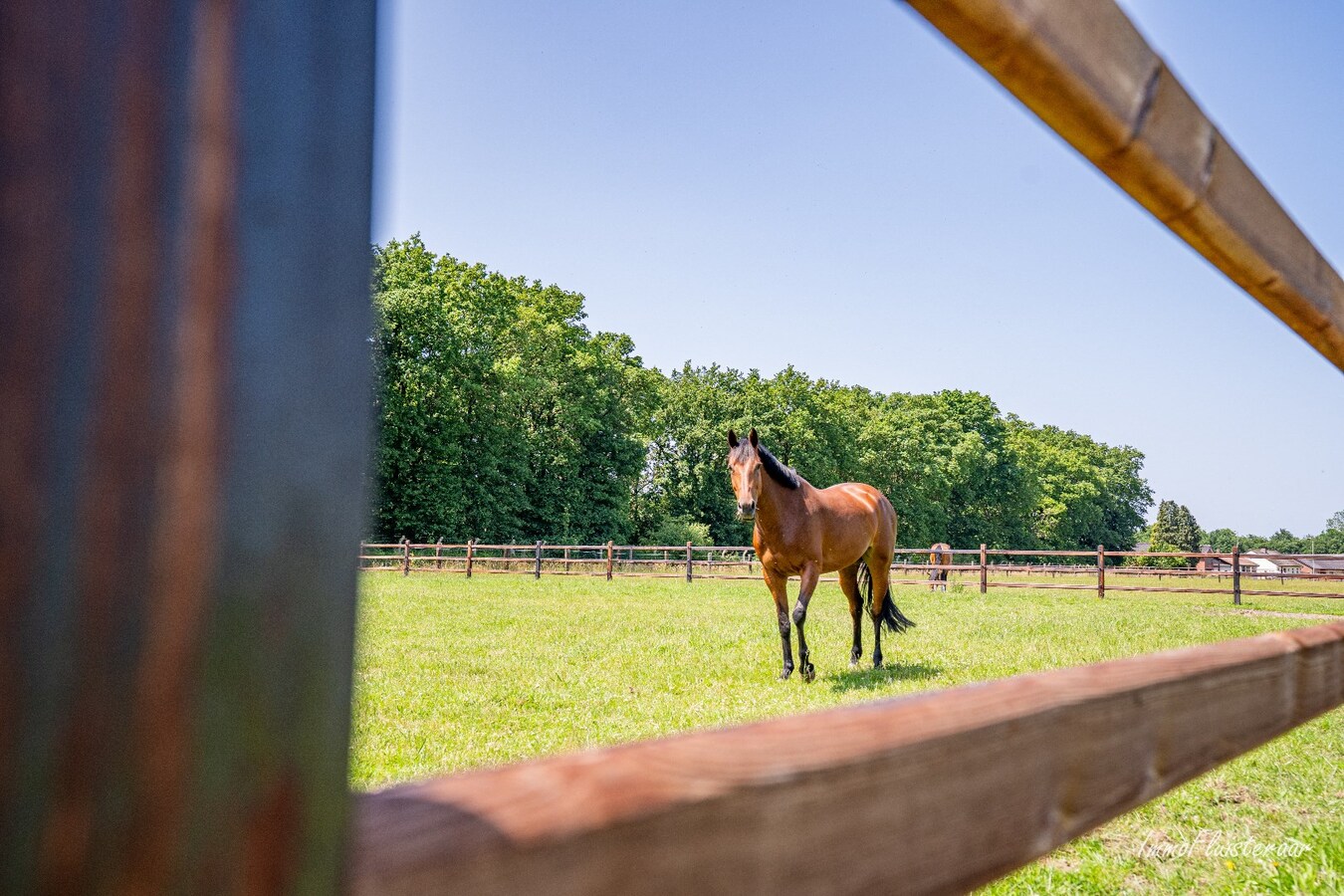 Propriété vendu À Helchteren