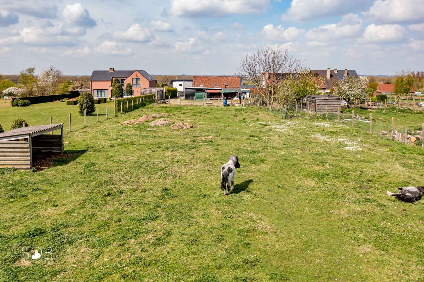 Eigentijdse woning met loods en weiland op 5.780 m². 