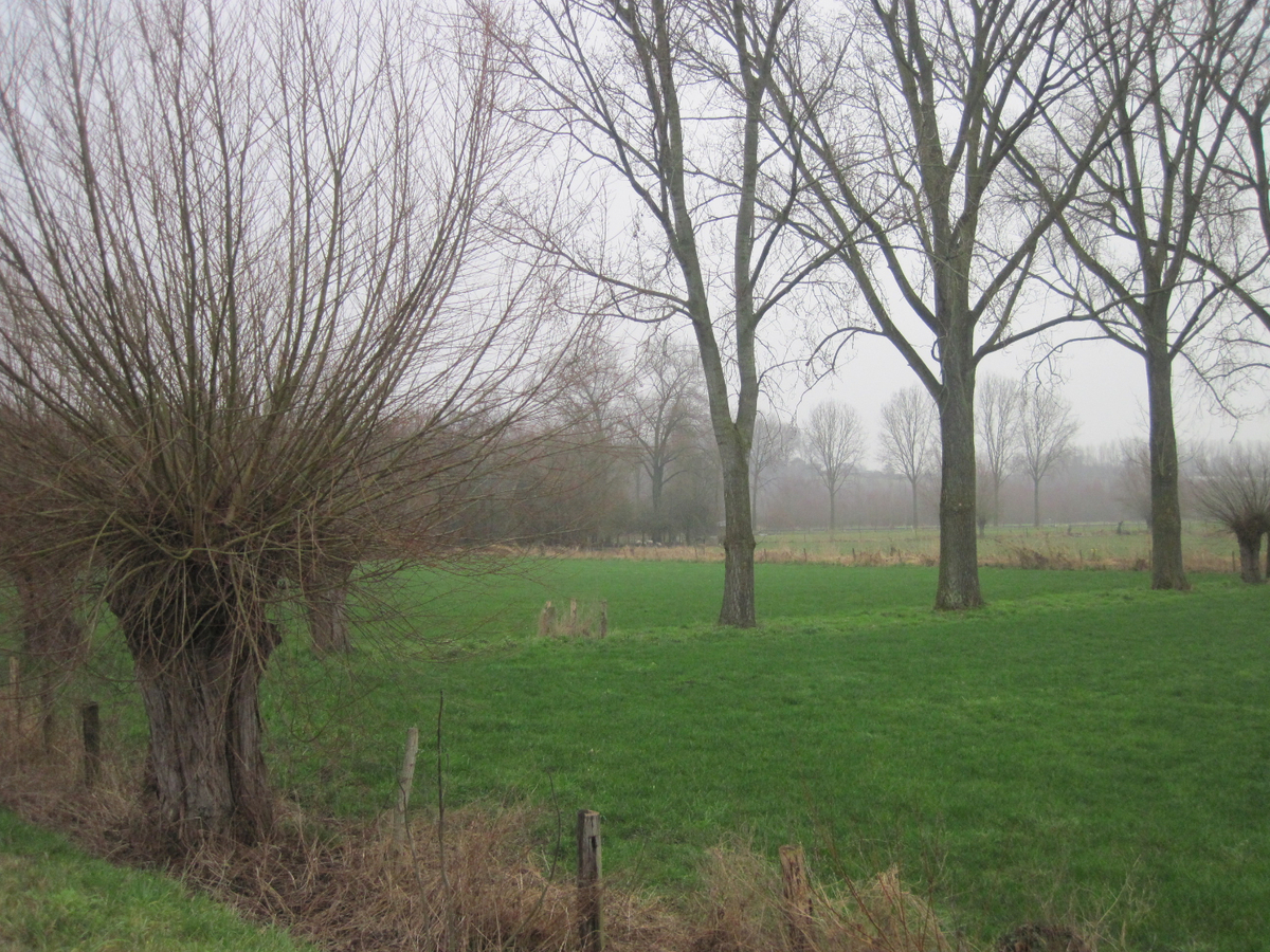 Stijlvolle en degelijke bungalow. Unieke ligging. 