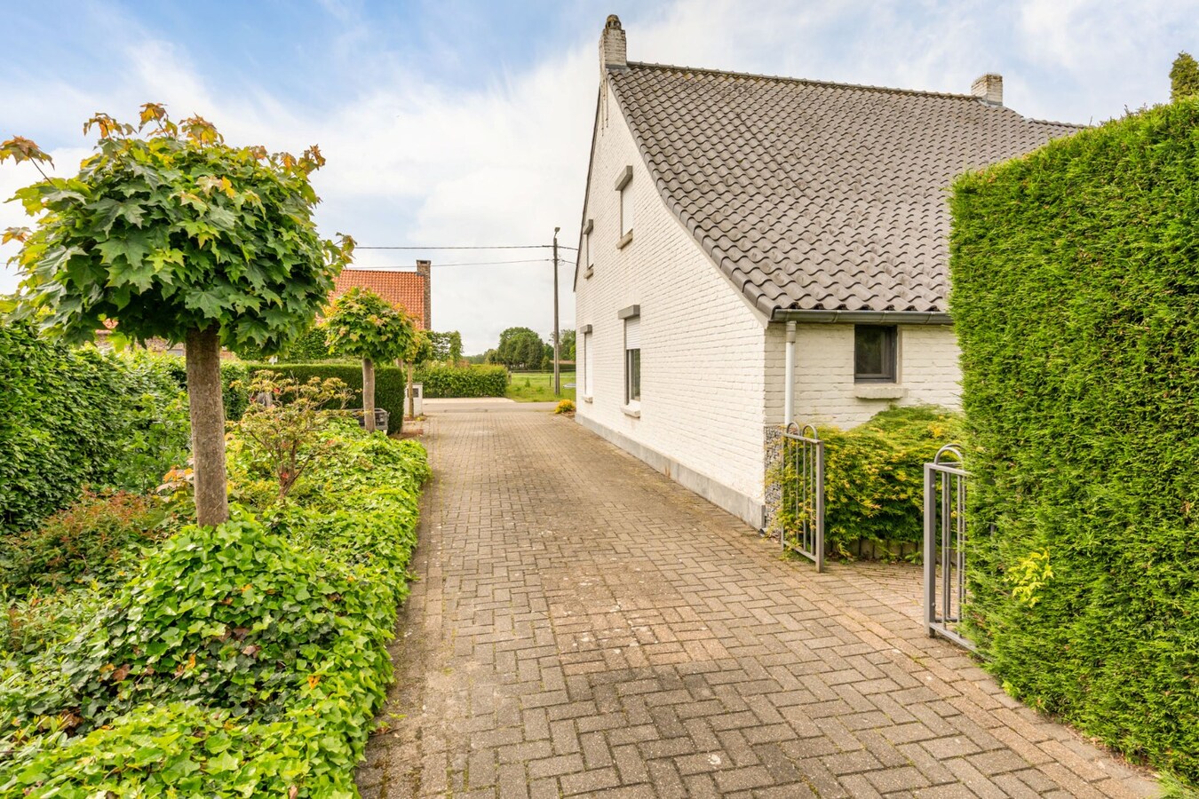 Ruime, zeer rustig gelegen woning op een perceel 29a90ca te Molenbeersel - een deelgemeente van Kinrooi! 