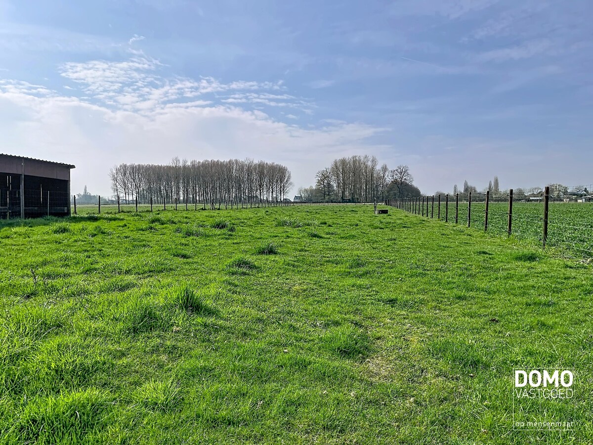 Ruime woning met weiland te koop te Alken 