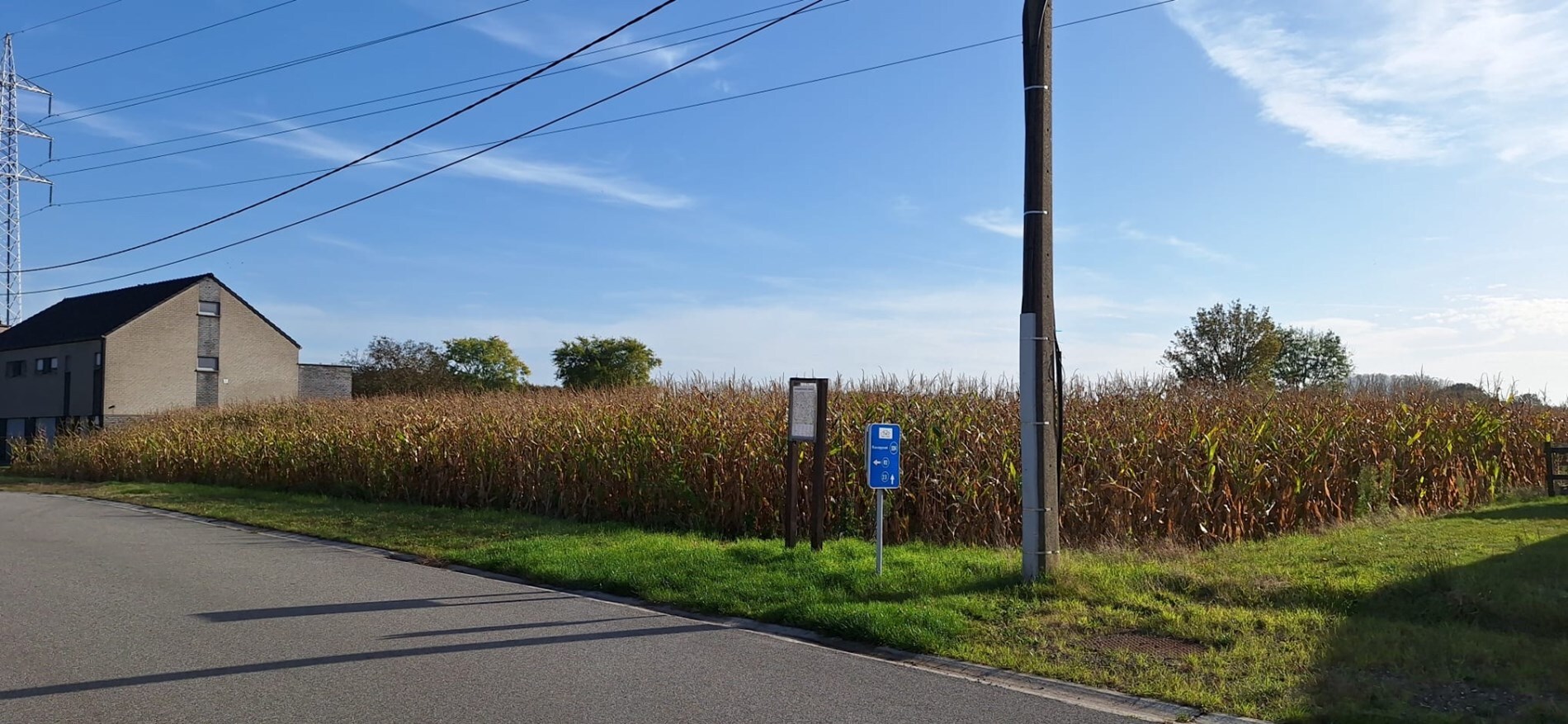 Terrain à bâtir avec des terrains adjacents d'environ 2,5 ha à Wijshagen (Oudsbergen) 