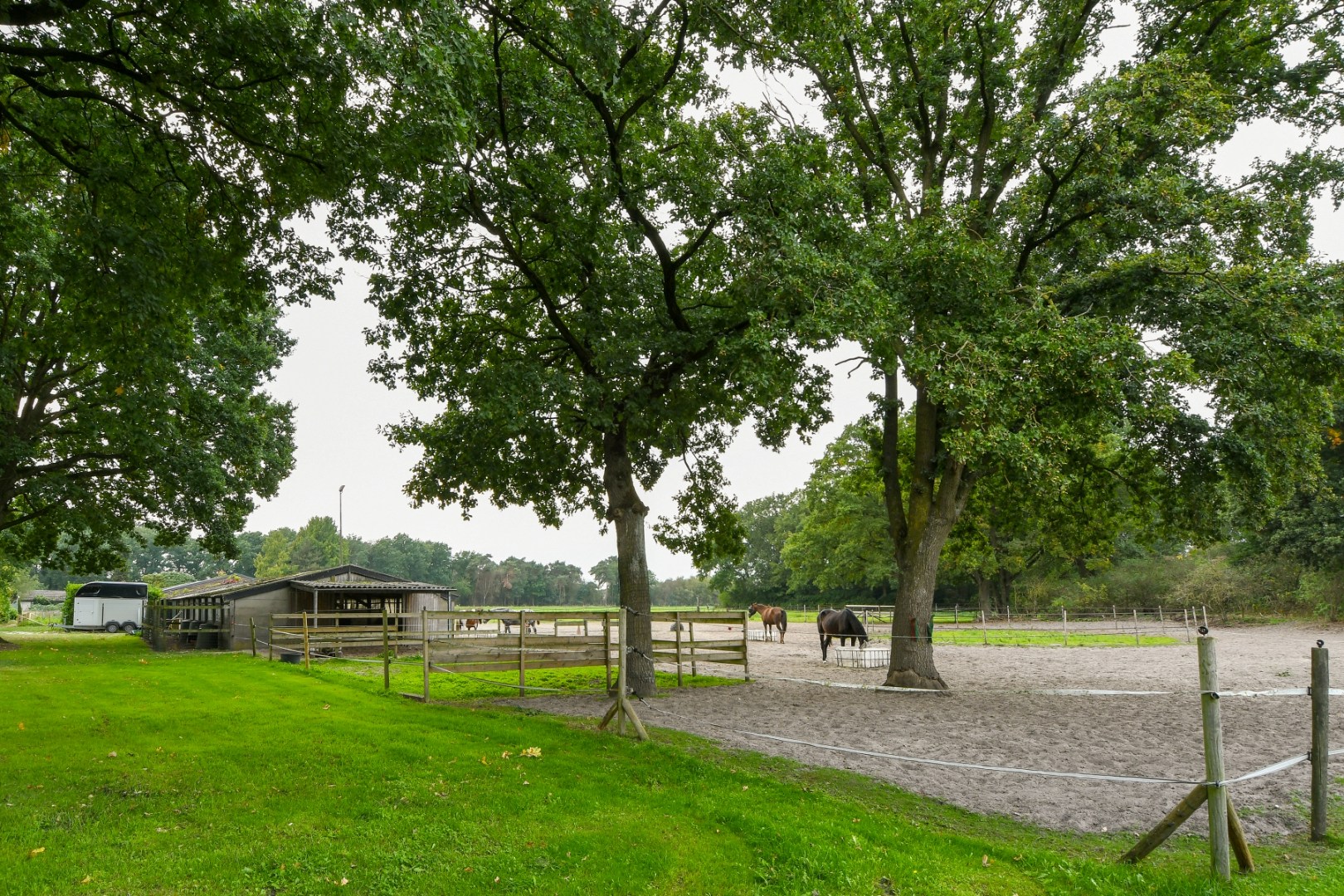 Vrijstaand woonhuis met inpandige garage, stal met 2 paardenboxen, vrijstaande inloopstal en verlichte zandpaddock met longeercirkel op een perceel van ruim 18.500 m2. Ideaal voor paardenliefhebbers. 