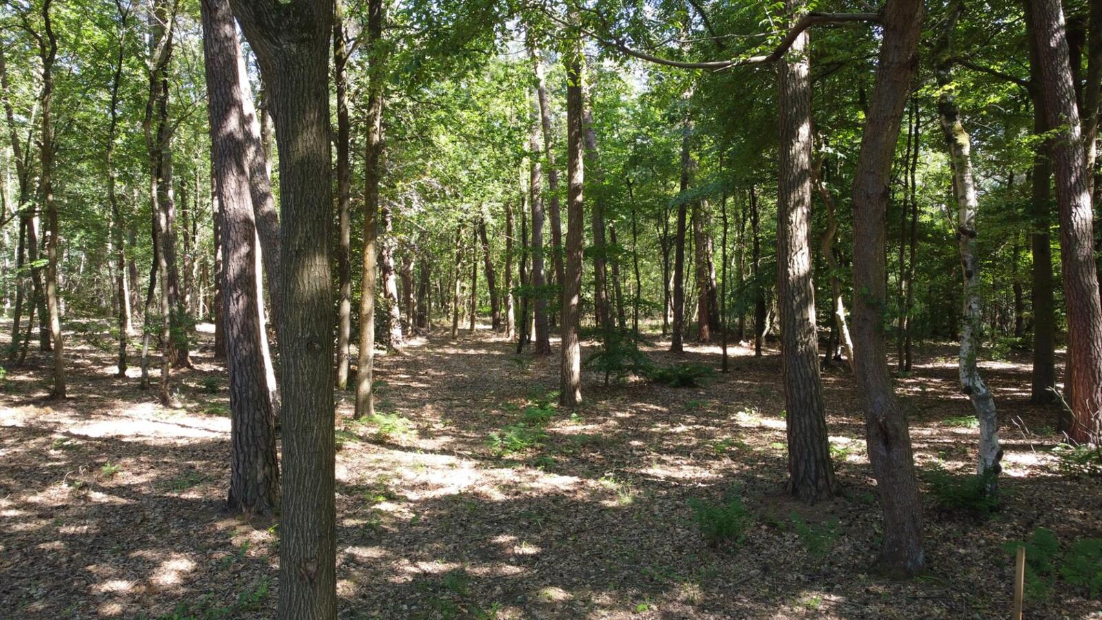 Uitzonderlijk rustig gelegen perceel van 2.500 m² met privé oprijlaan van ca. 60 m grenzend aan natuurgebied te Brecht. 