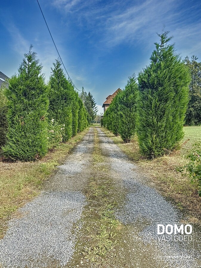 Rustig gelegen woning in het groen te Stevoort met tal van mogelijkheden. 