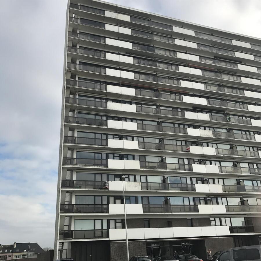 MOOI APPARTEMENT OP ZUCHT VAN ZEE, STRAND EN DUINEN 