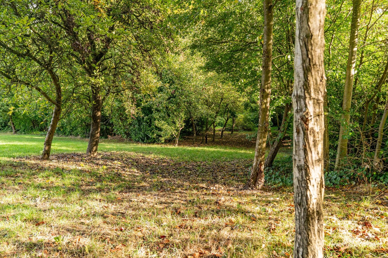 Unique renovation project on a spacious plot of approximately 77 acres in Ransberg (Kortenaken) 