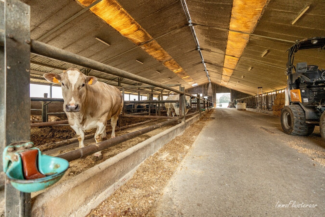 Prachtige villa met een ruim stalgebouw op ca. 2,2 ha te Dilsen-Stokkem 