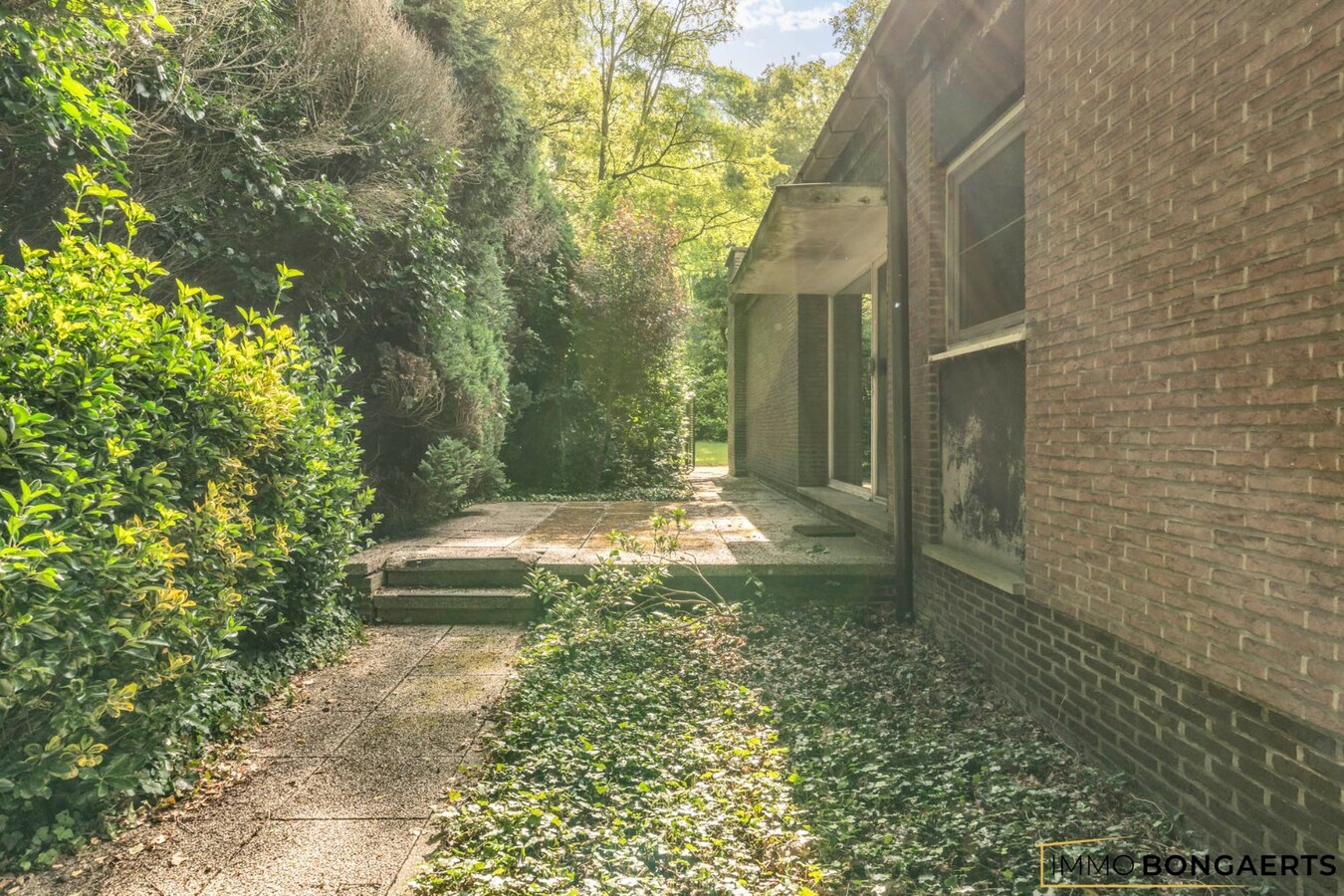 Ruime te renoveren woning op een mooi perceel. 