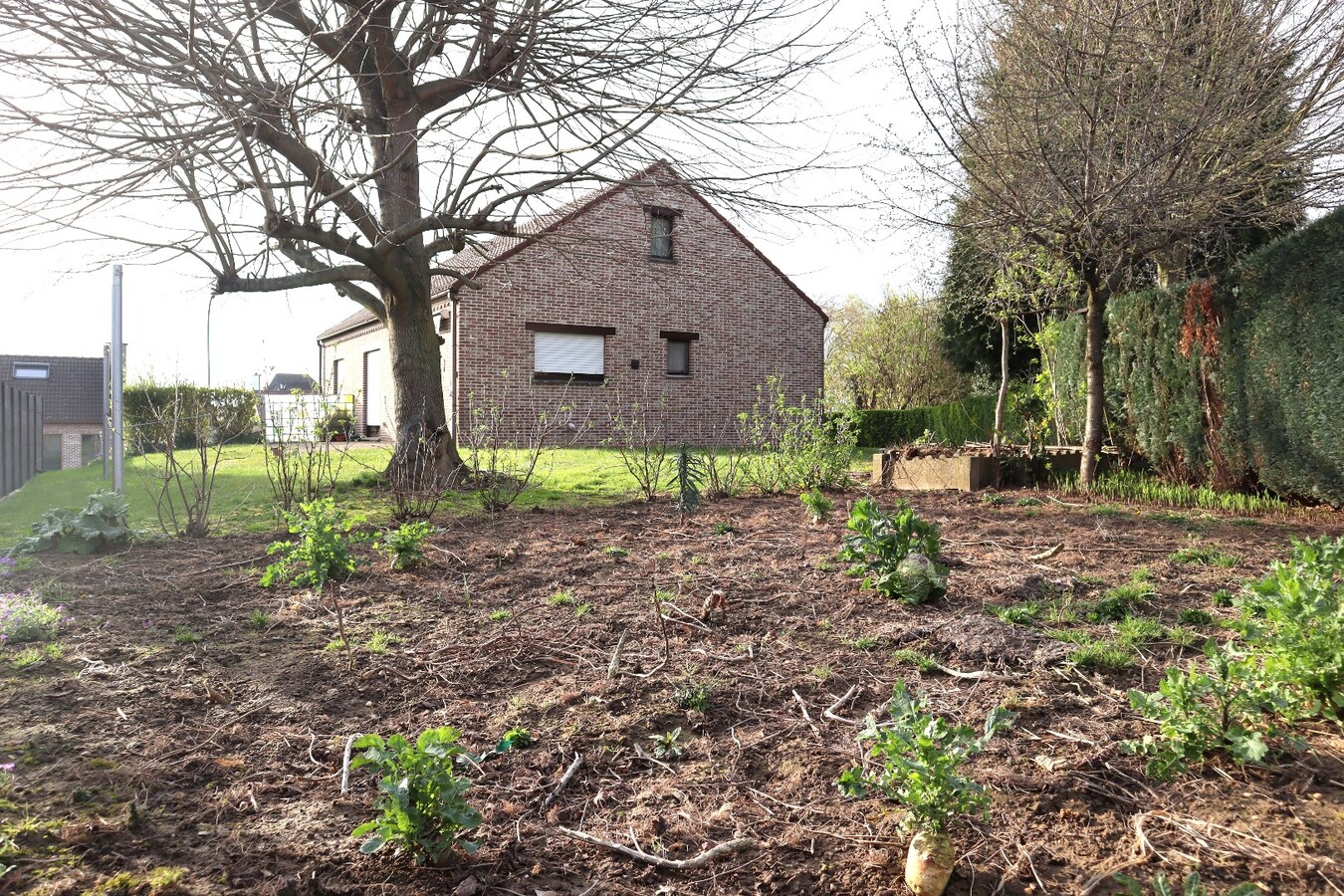 Prachtig open bebouwing in een doodlopend straatje te Tienen. 