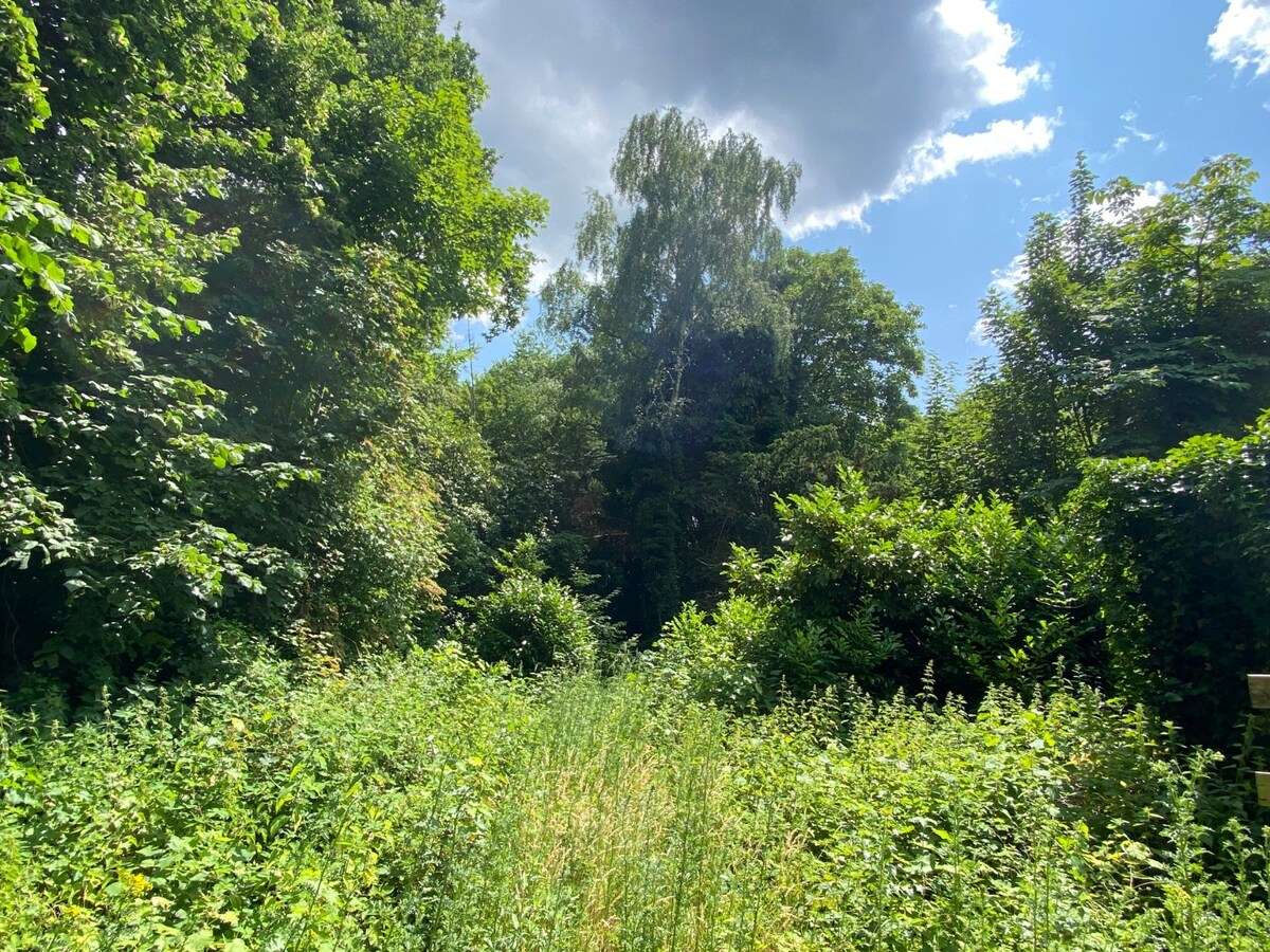 Projectgrond op een perceel van 2.579 m² met 24 meter straatbreedte. 