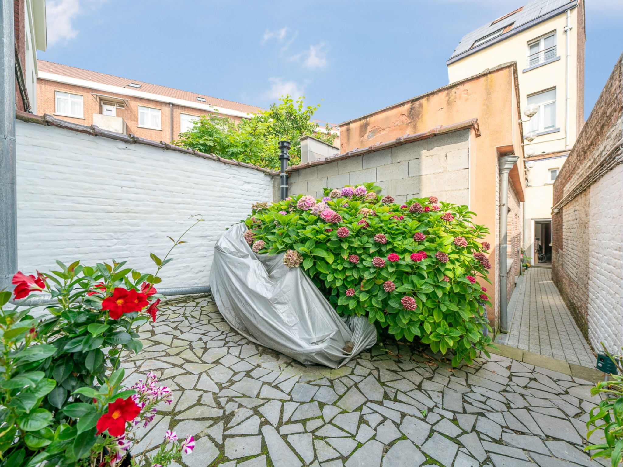Volledig gerenoveerde 3-kamer woning met tuin 