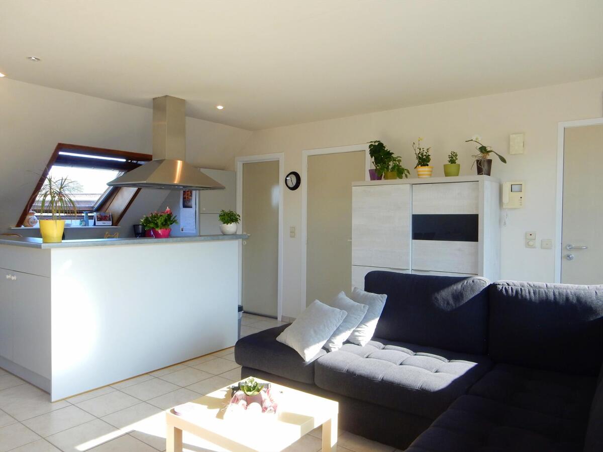 Ruim en rustig gelegen appartement met 3 slaapkamers 