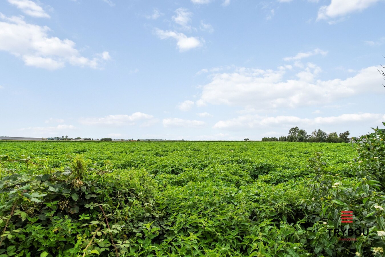 Charmante woning met landelijke vergezichten op een boogscheut van Centrum Klerken 