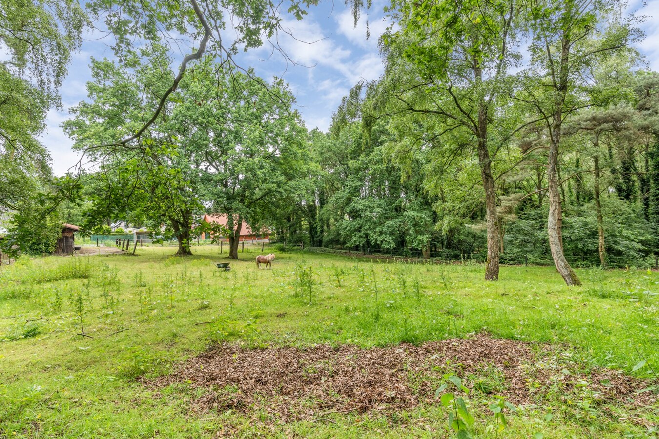 Uniek gelegen woning aan de bosrand op een perceel van 36a67ca waarvan 22a82ca geschikt is als paardenweide! 