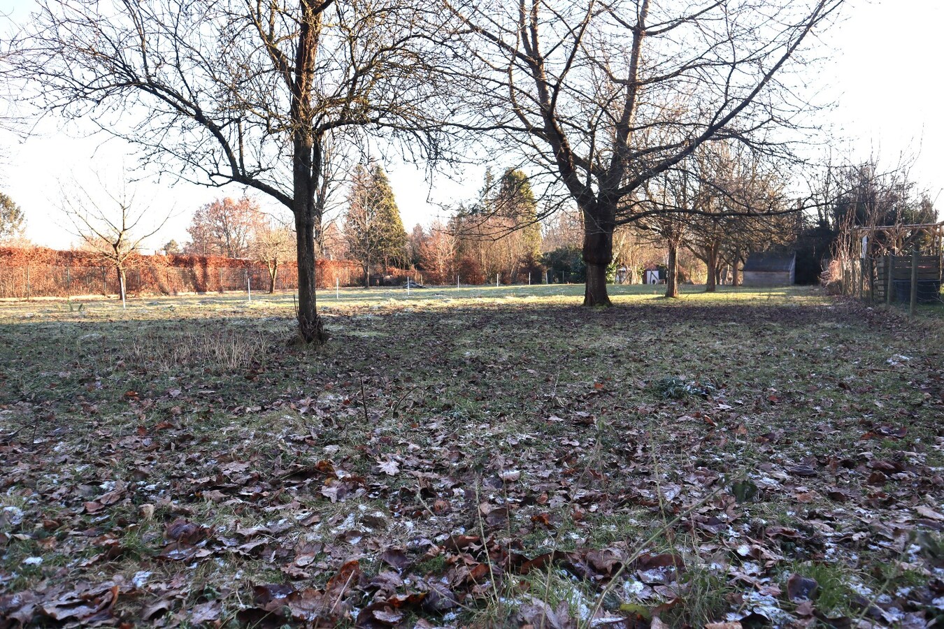 Prachtig gelegen bouwgrond te Bierbeek voor open bebouwing 9 are 45 ca 