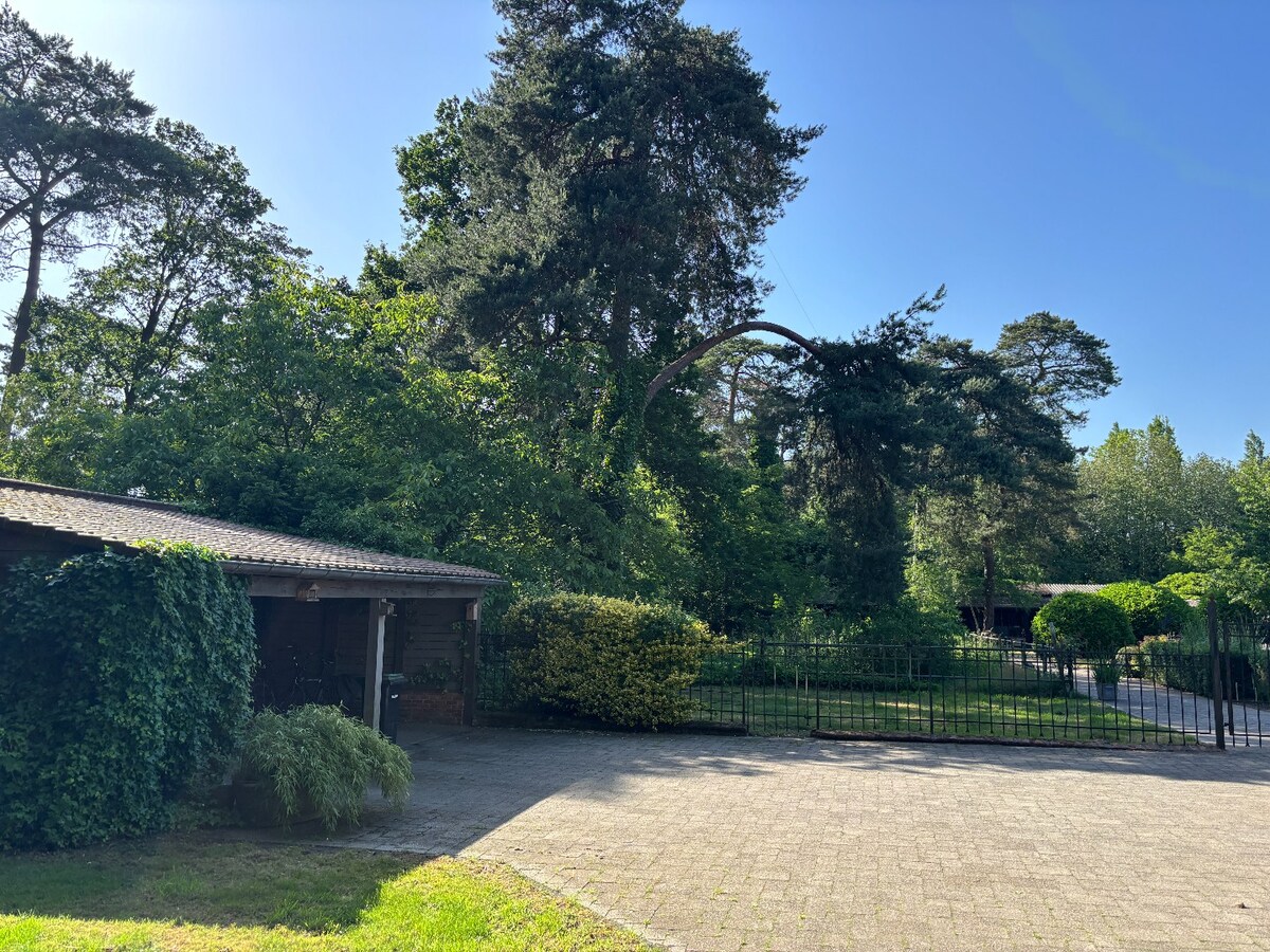 Bouwgrond voor woning van 1.220 m² te Schilde 