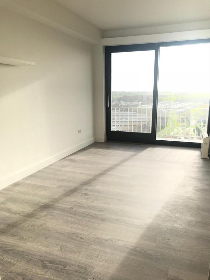 MOOIE STUDIO OP TOPLIGGING ZUCHT STRAND WESTENDE BAD 