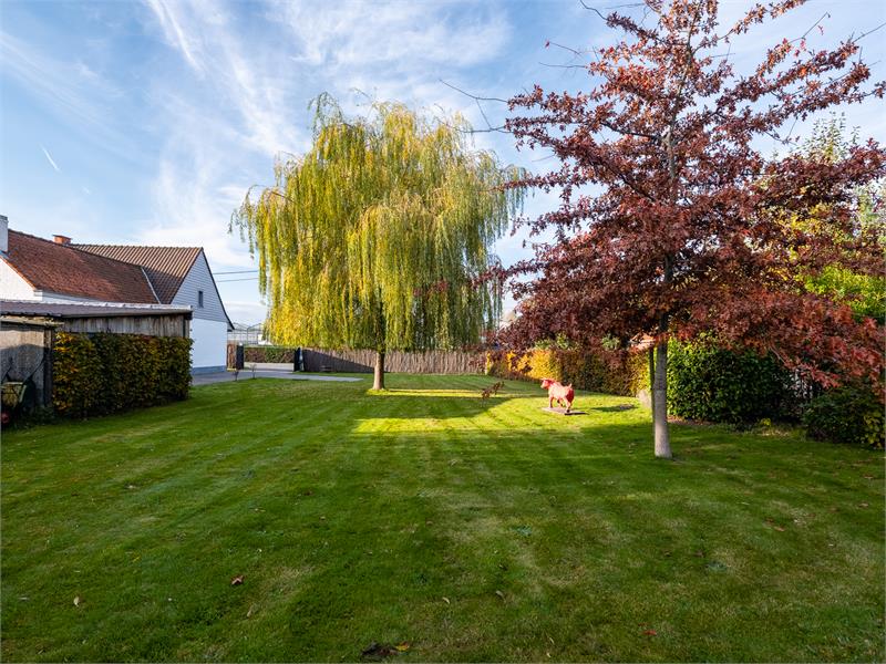 Landelijk gelegen vrijstaande woning op groot stuk grond! 