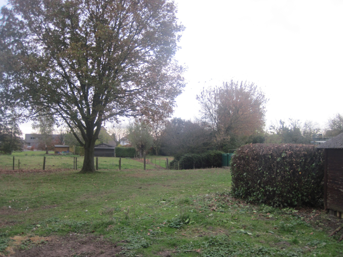 Lichtrijke bungalow - groene omgeving ! 