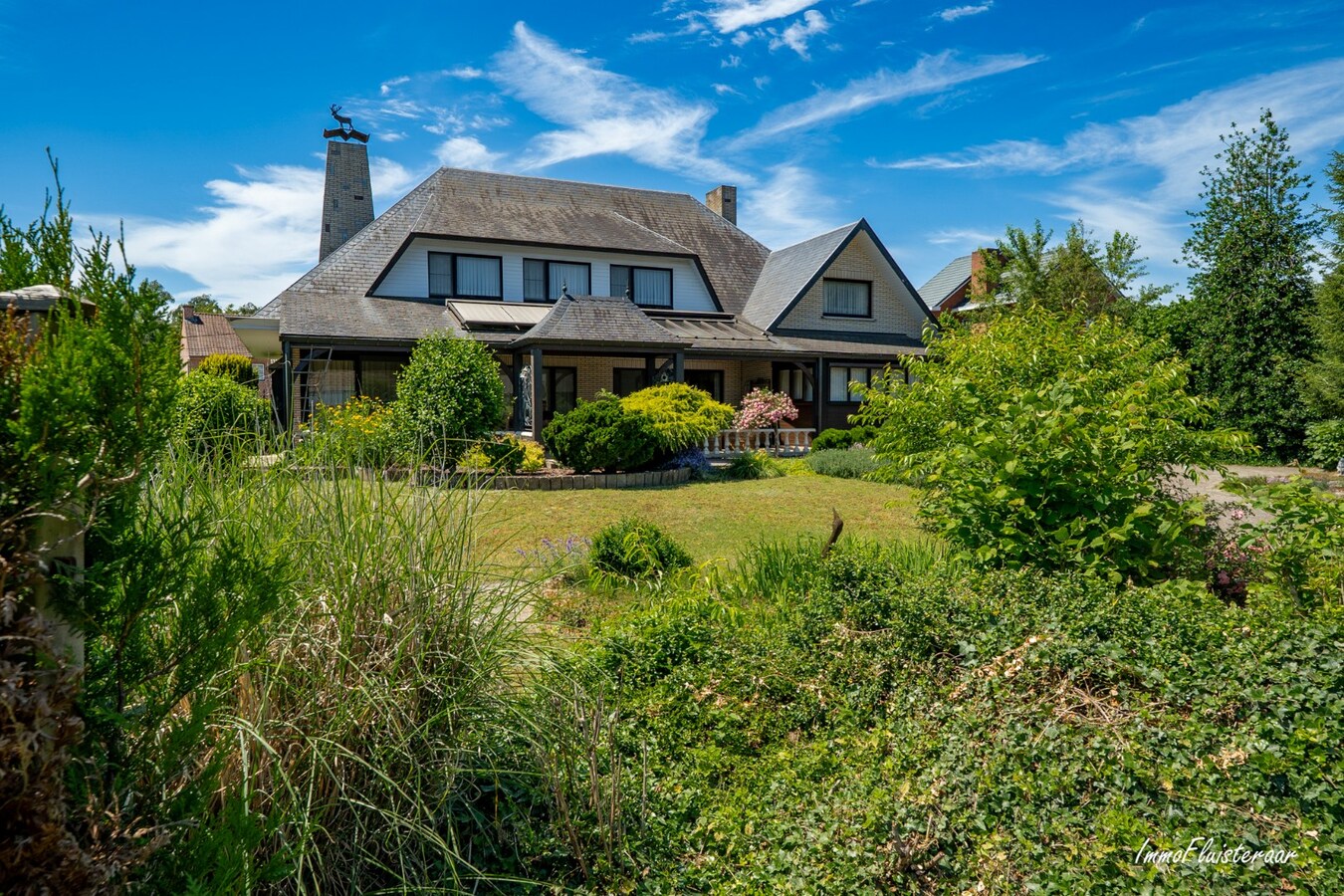 Ruime woning met loods op ca. 1ha te Lummen 
