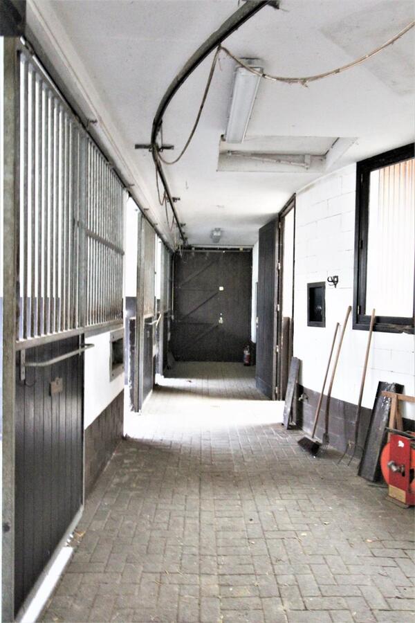 Villa avec infrastructures équestres, piscine, court de tennis, piste de trot et prairie sur environ 2ha65a à Huldenberg (Brabant Flamand) 