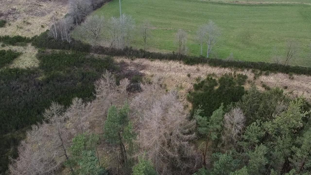 Perceel van 4ha gelegen in agrarische zone 