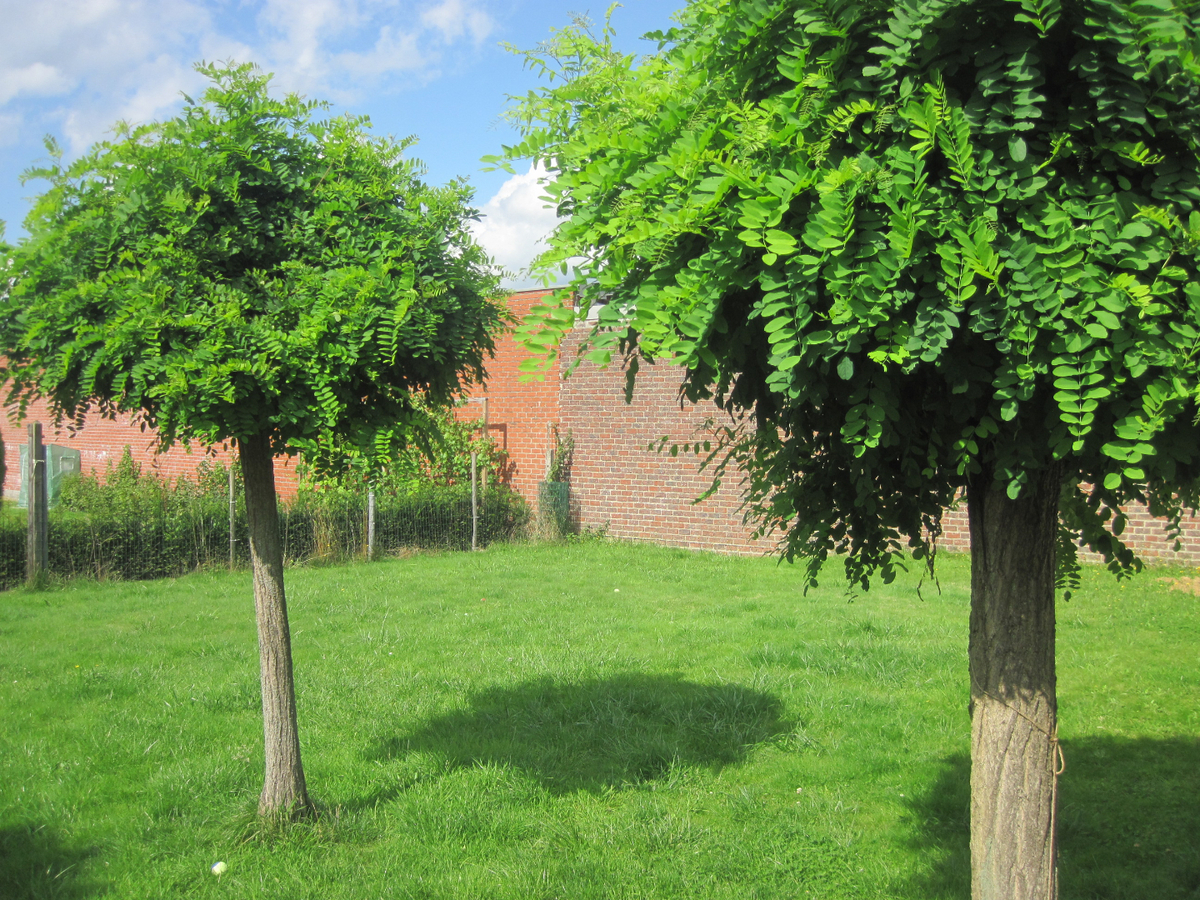 Praktische én ruime bungalow met tuin. 