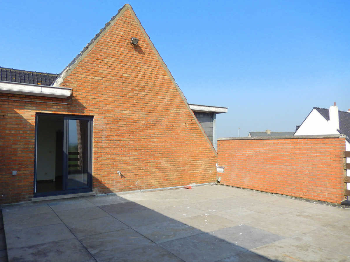 Prachtig volledig gerenoveerd appartement met groot terras 