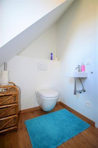 Prachtig gerenoveerde woning met een zeer ruime en zonnige tuin op top locatie in Mol 