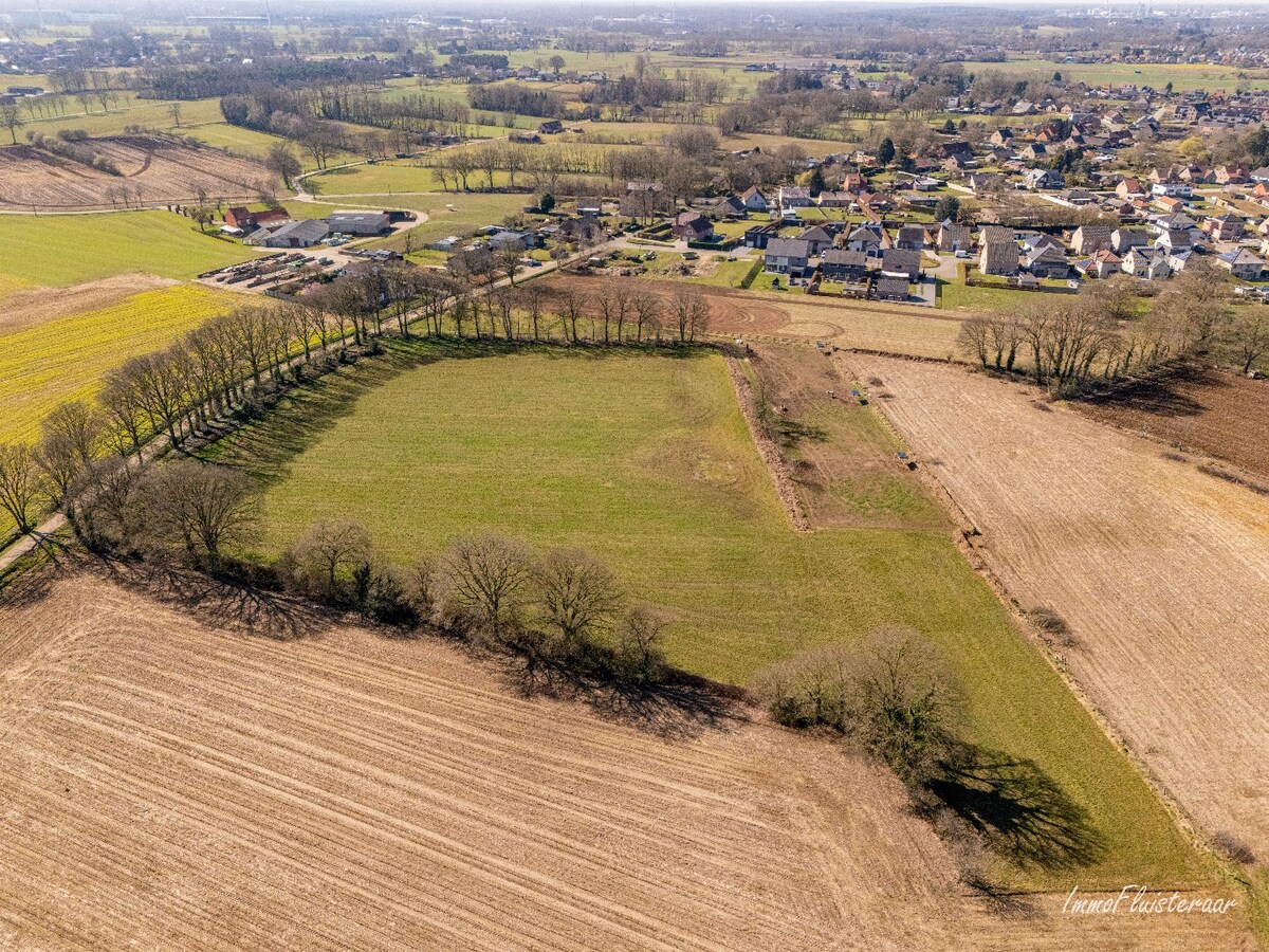 Ruime woning met stalgebouw op ca. 2,9 ha te Meerhout (Optie aankoop ca. 3 ha extra weiland) 