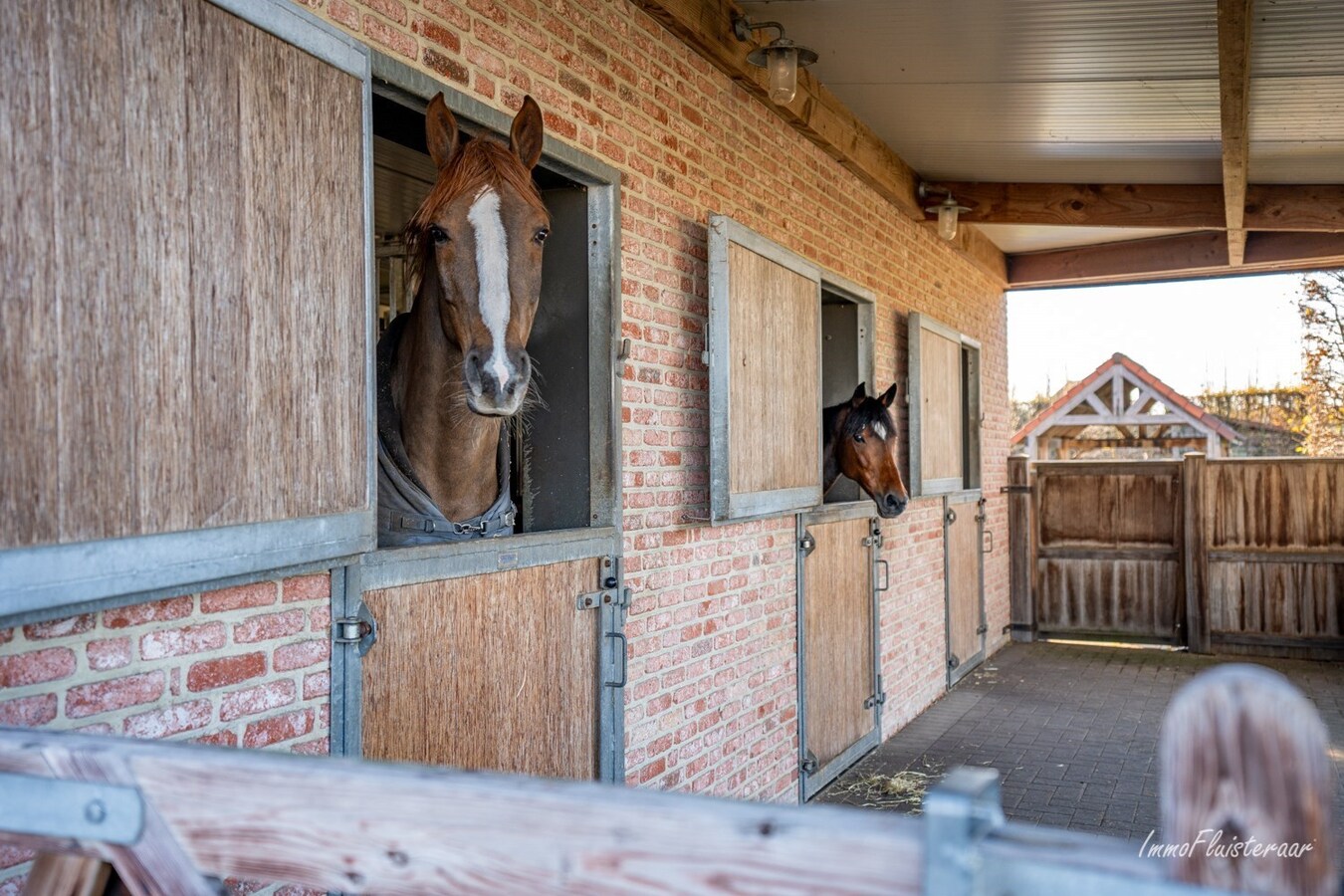Villa exclusive avec des installations équestres sur environ 1,3 ha à Sint-Katelijne-Waver 