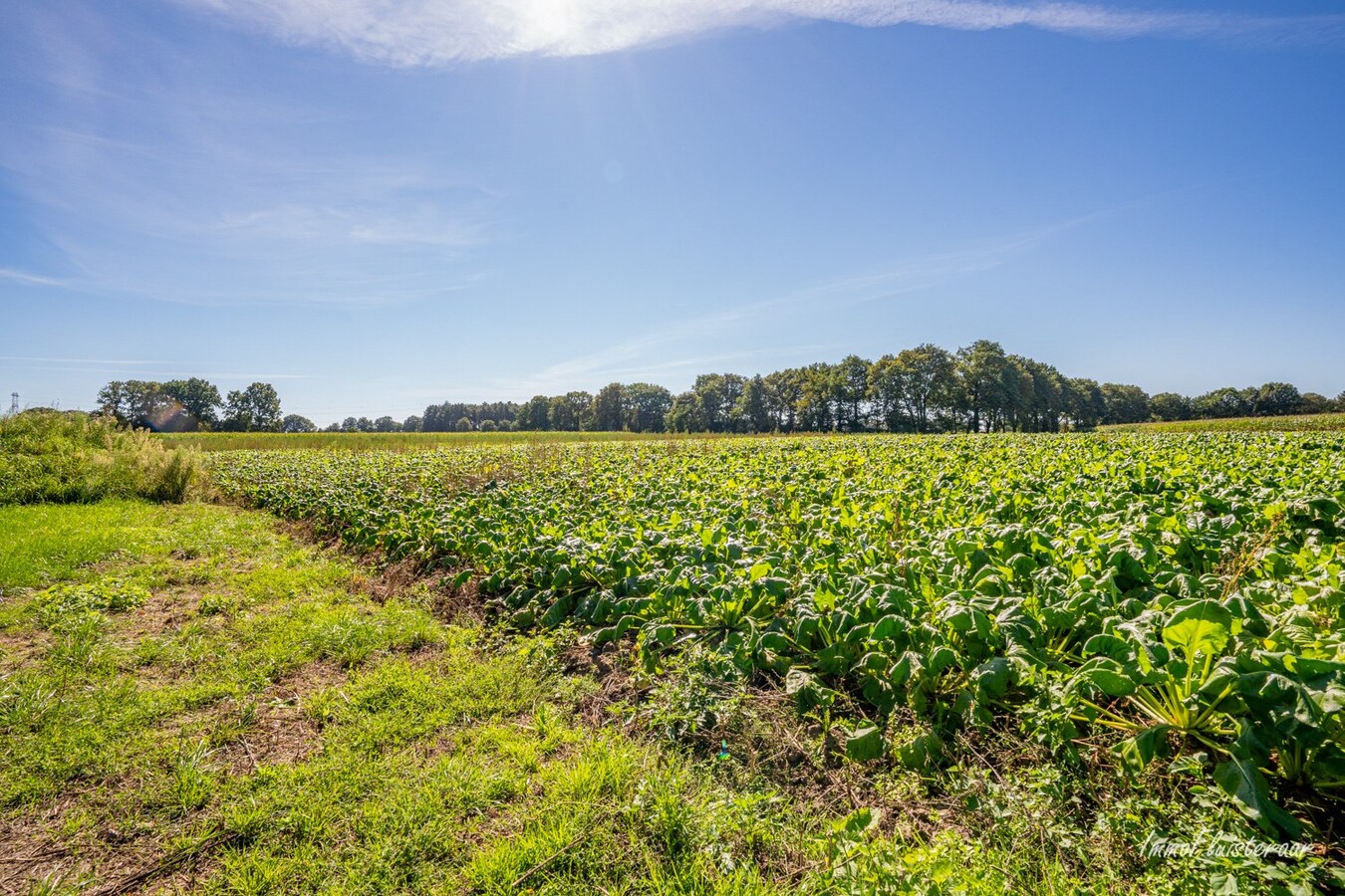 Ferme unique dans un emplacement exceptionnel sur environ 5 hectares à Peer 