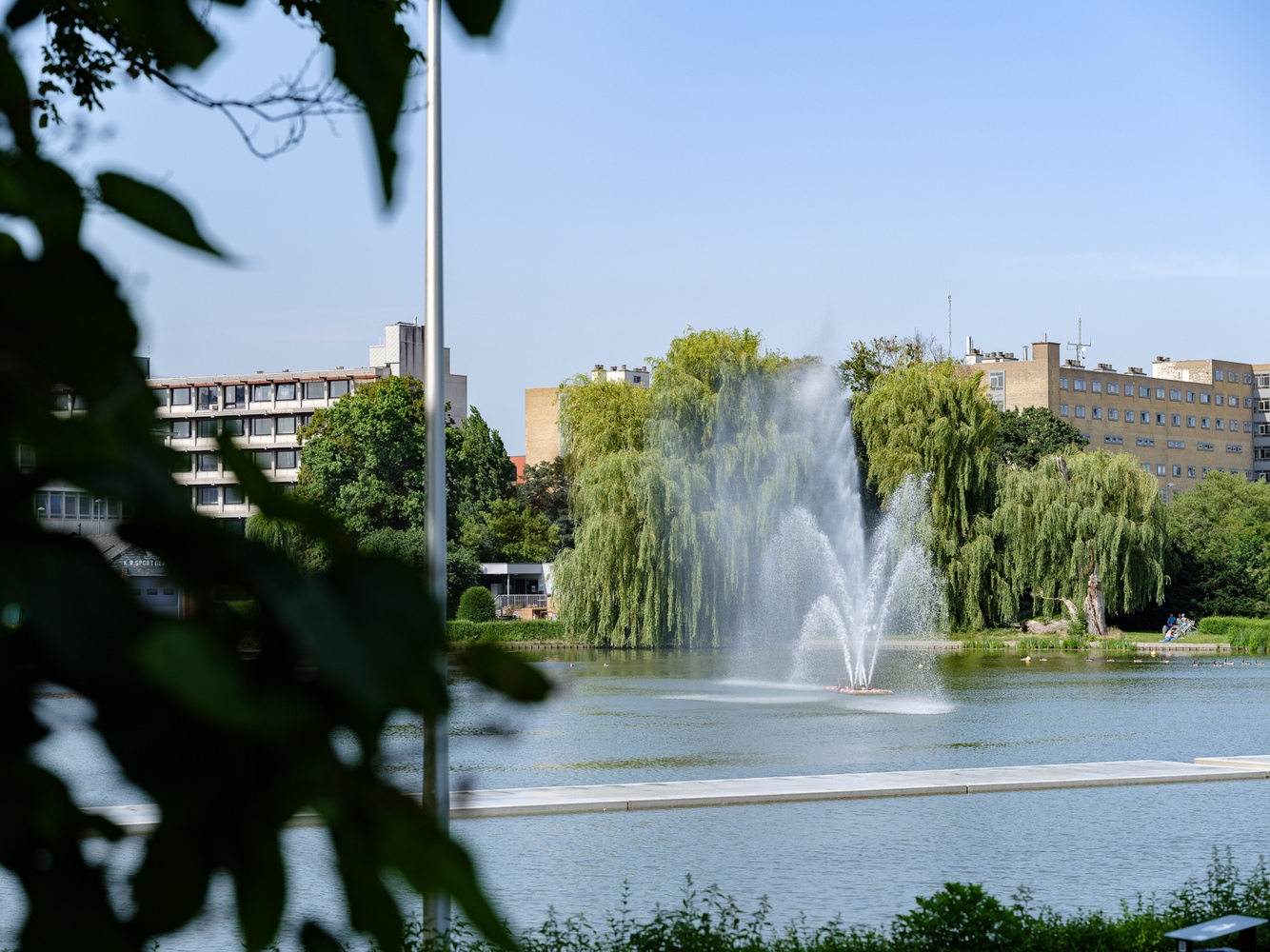 Vernieuwd herenhuis met koer 