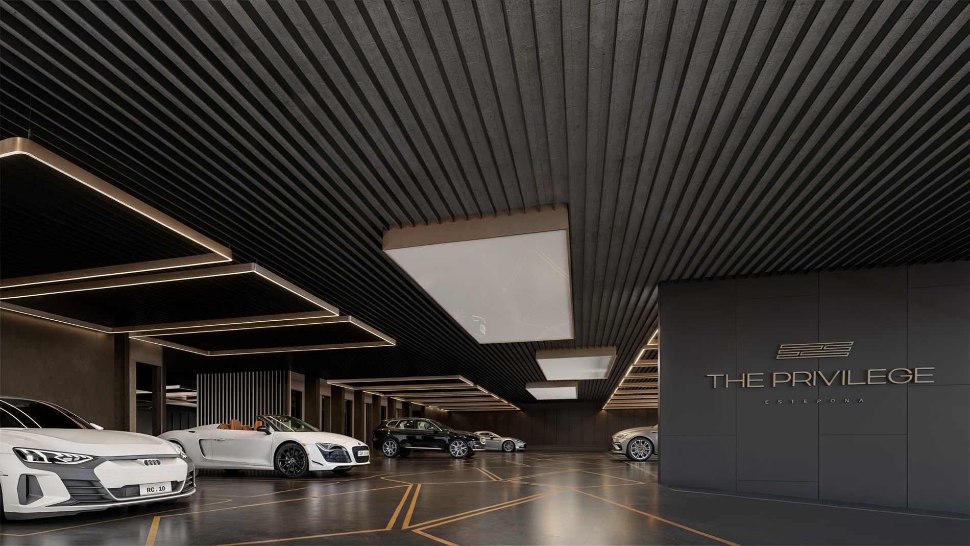 The Privilege - 1.1.F 