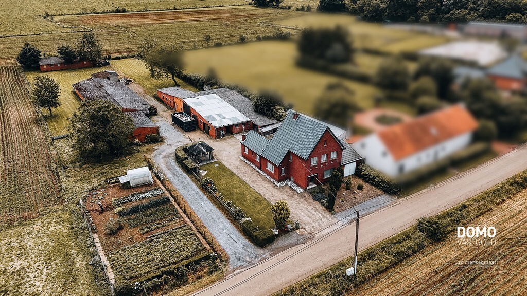 Ruime boerderij met stallingen en een prachtig groen uitzicht. 