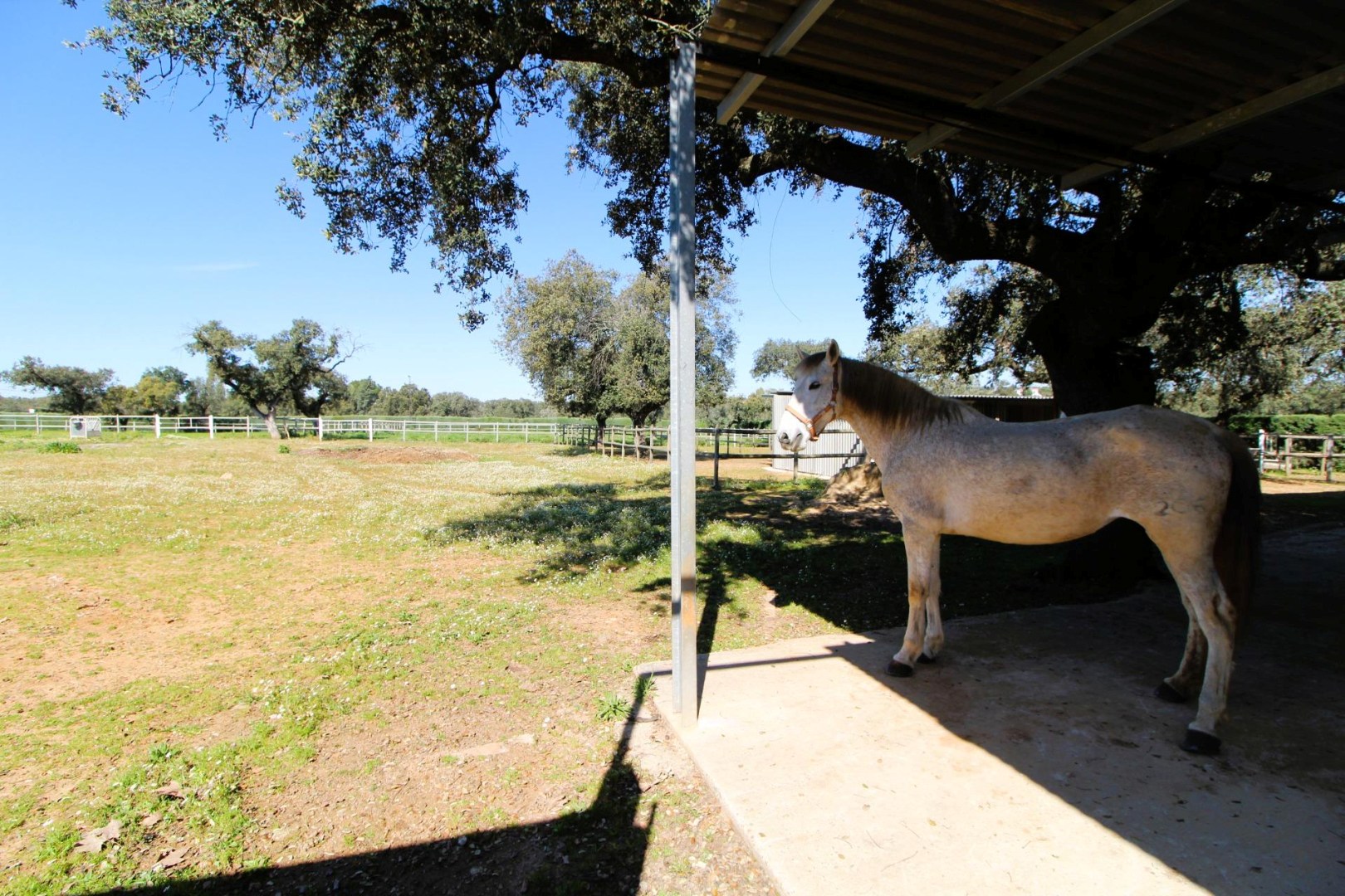 Villa te koop in Badajoz