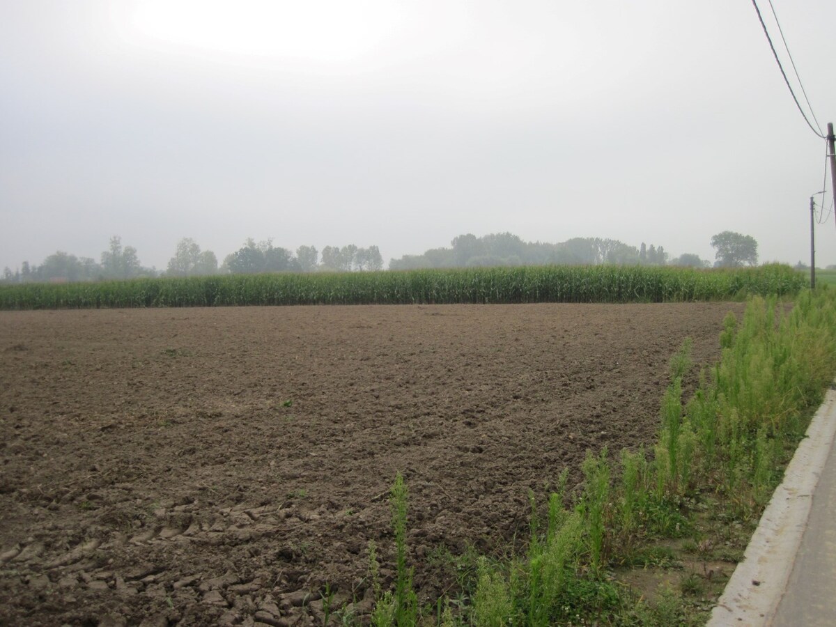 3 percelen landbouwgrond gelegen te Landskouter 