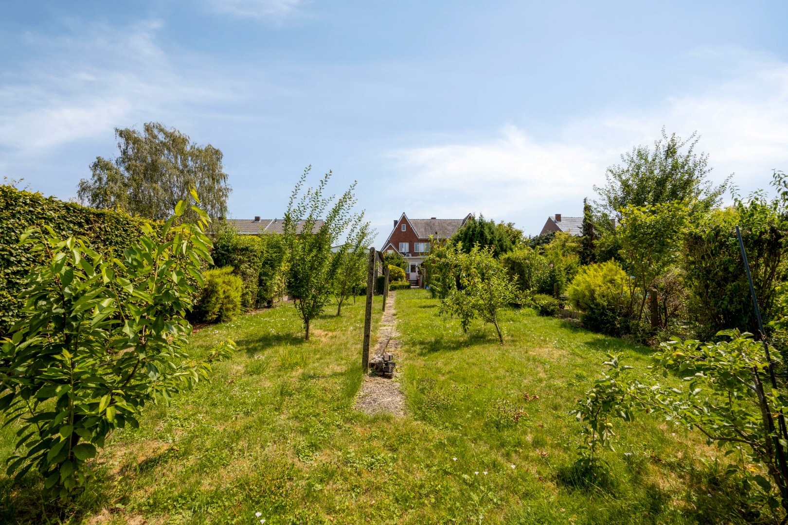 Achtertuin