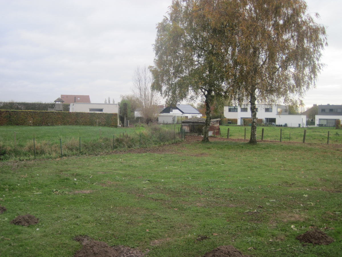 Lichtrijke bungalow - groene omgeving ! 
