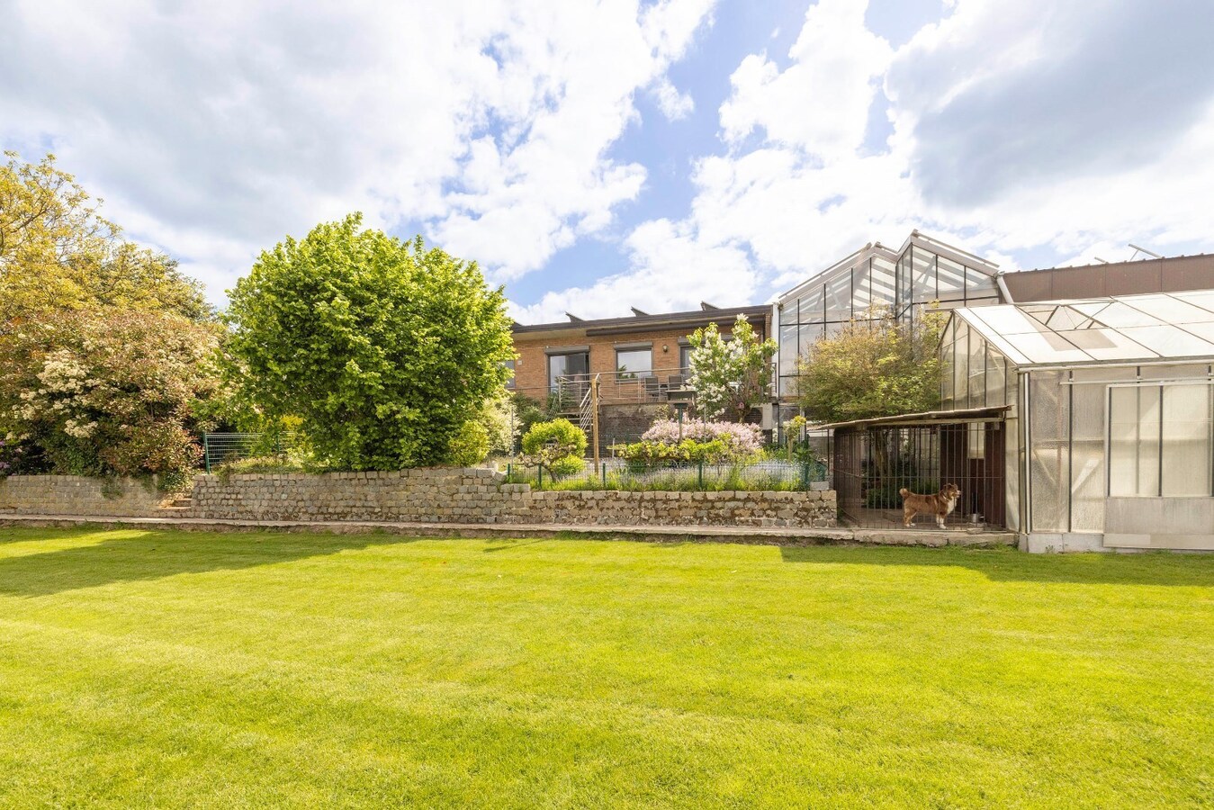 Ruime, landelijk gelegen woning met diverse mogelijkheden 