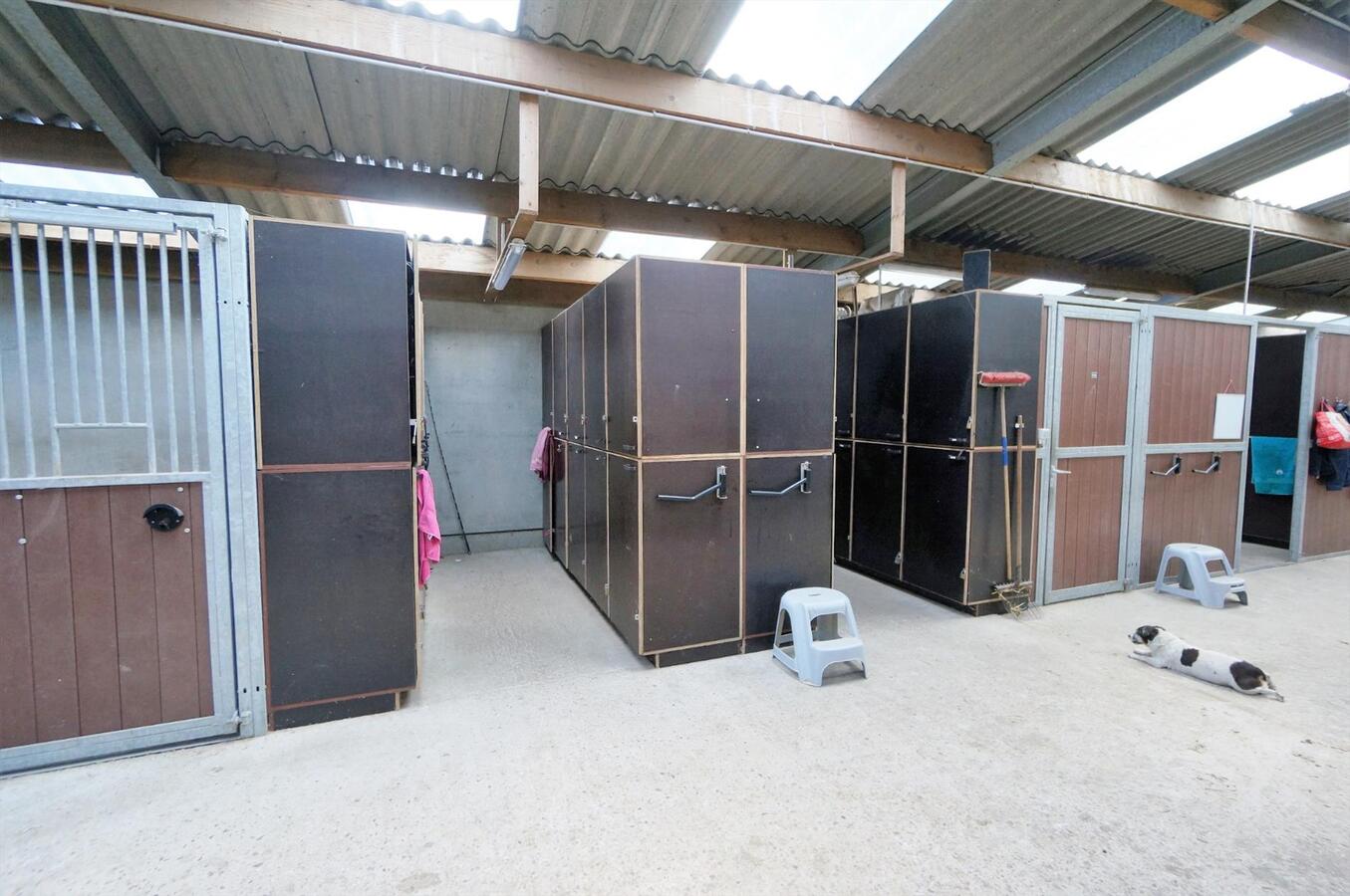 Ferme vendu À Merksplas