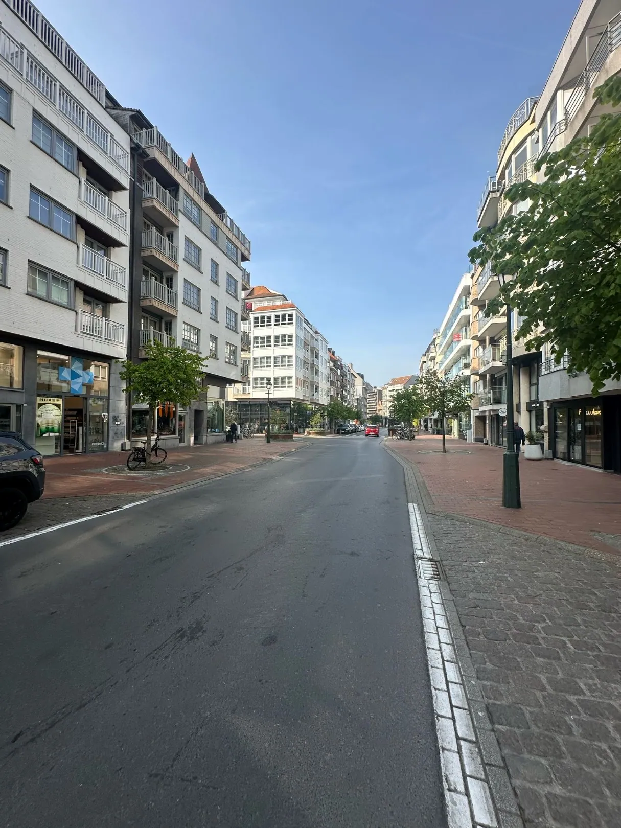 Te renoveren appartement met zijdelings zicht op de Dumortierlaan 